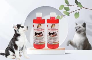 PET Shampoo (500ML) (Pack of 2) Jasmine