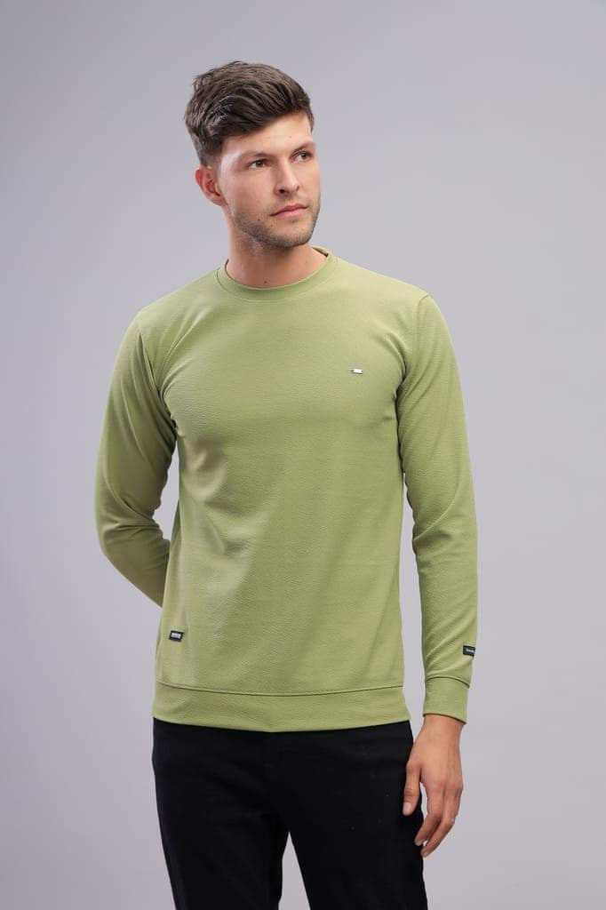 Men Solid Round Neck Polyester T-Shirt