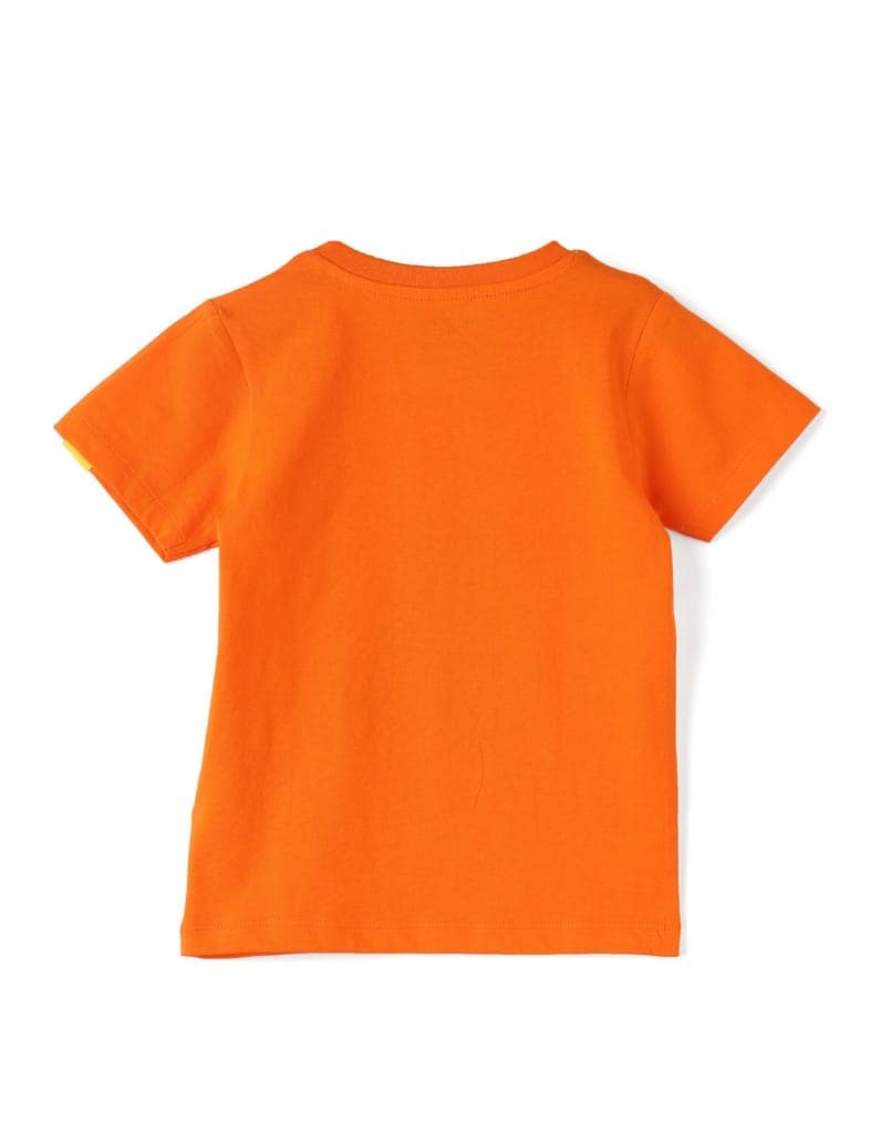 Boys T shirt Cotton Scarlet Ibis Orange Cool Dino view 4