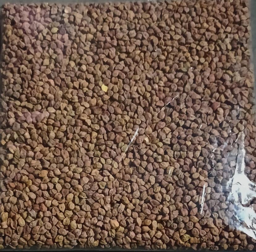 ATRI FPO Desi Chana - 1kg - Pure & Natural Chana view 3