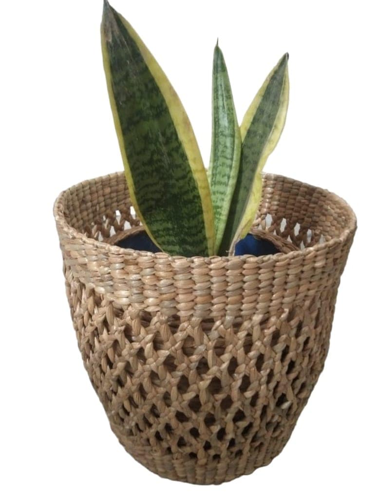 Flower Pot view 2