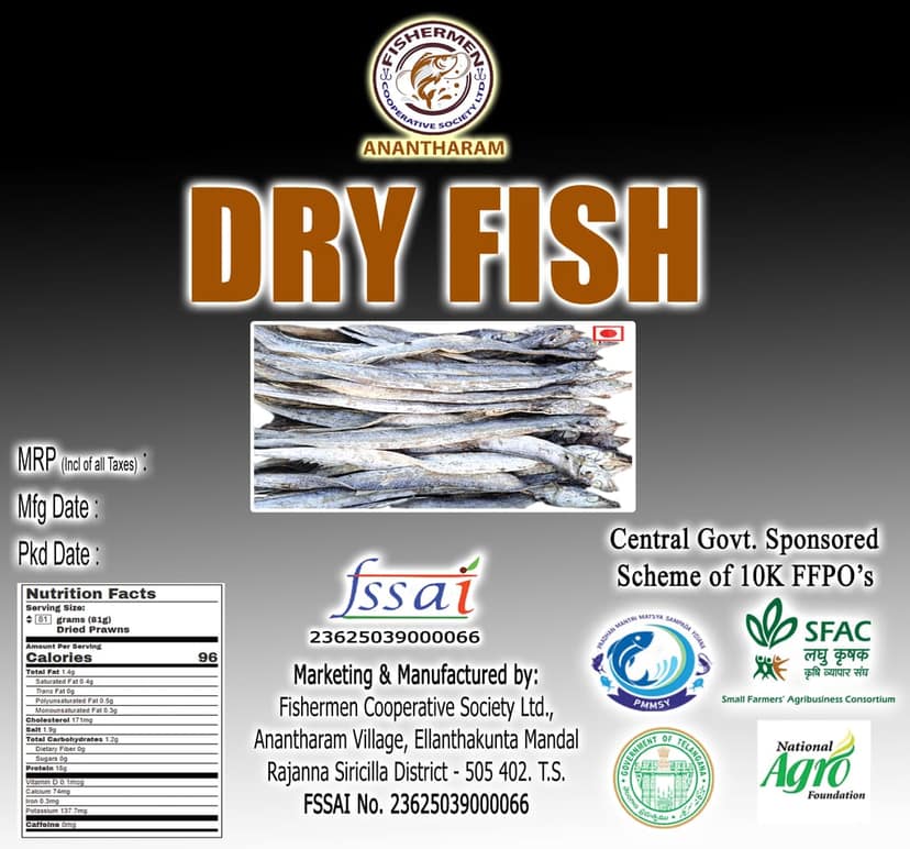 DRY FISH view 3