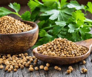 Coriander Seeds (Dhaniya)