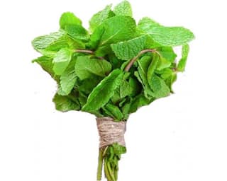 Pudina 1 Bunch