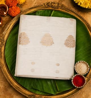 Handloom Chanderi Silk By Cotton Saree