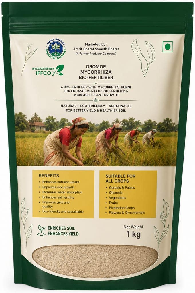 Scented Joha Rice view 2