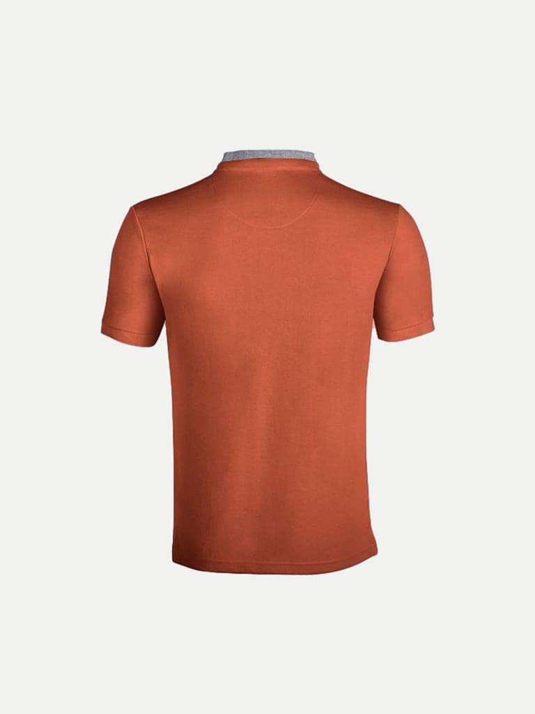 Men Rust Cotton Polo collared T-shirt view 4