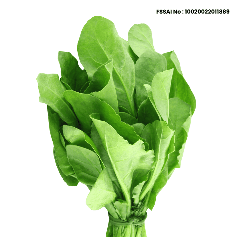 Spinach view 4