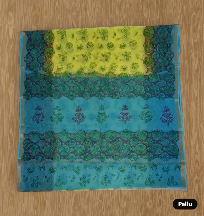 Handwoven Kota Doria Block-Print Saree in Green and Blue view 4