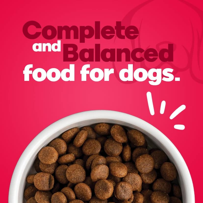 STELLA stella yummy pet food 1.2 kg Dry Adult Dog Food view 4