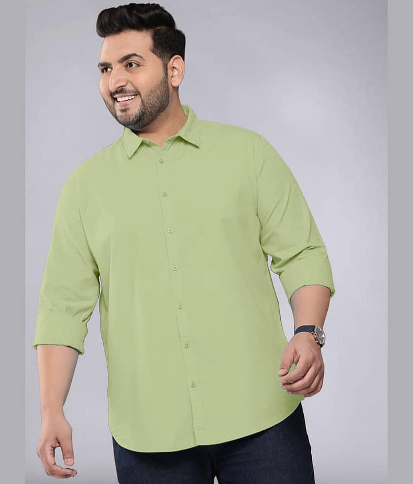 ADWYN PETER 100% Cotton Regular Fit Solids Full Sleeves Men's Casual Shirt - Green ( Pack of 1 )