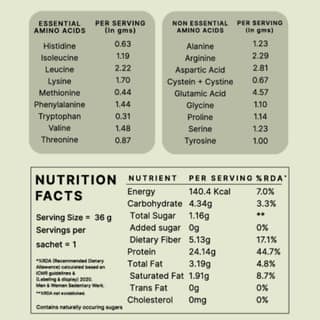 Earthful Honest Plant Protein-Japanese Matcha
