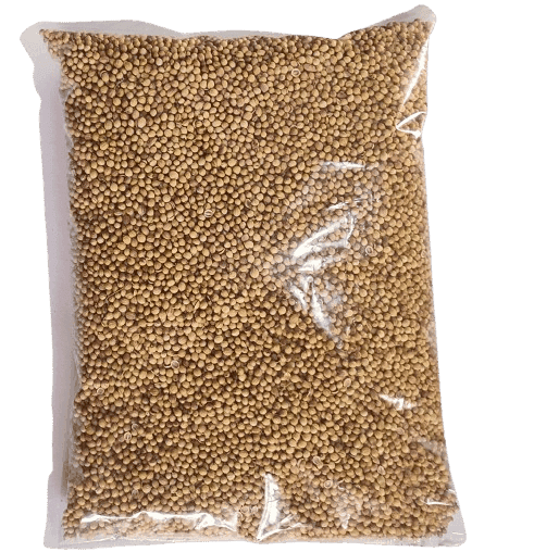 Organic Coriander | 1Kg (pack of 3) view 3