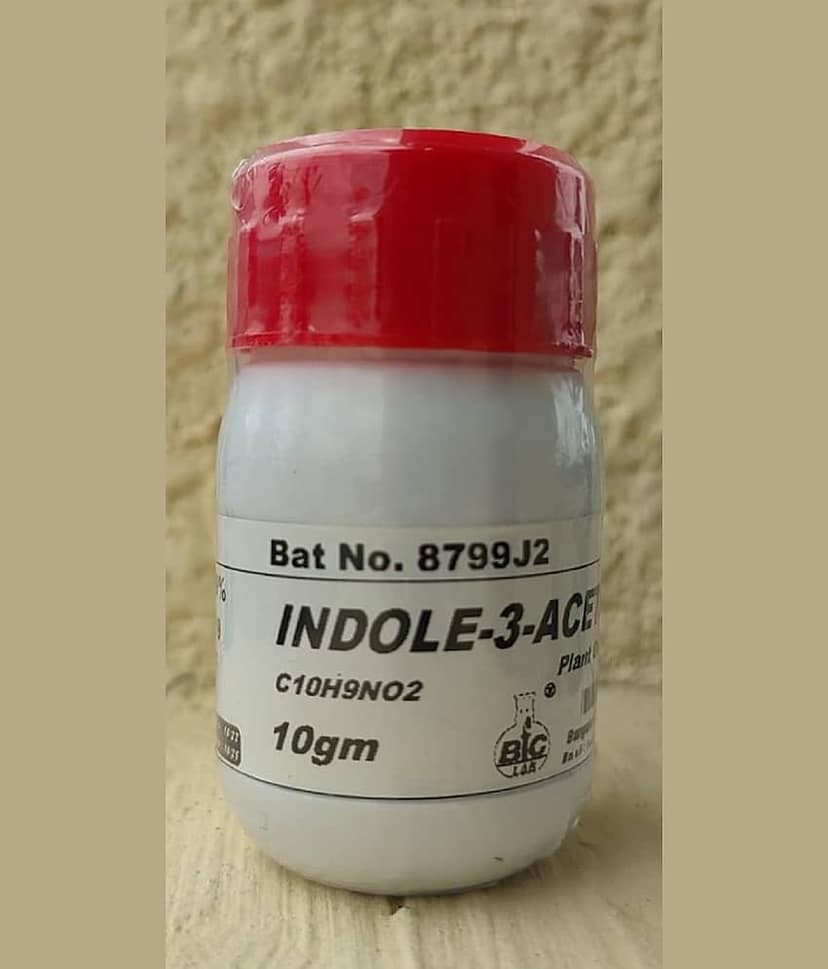 INDOLE-3-ACETIC AC-ID - 10gm (C10H9NO2) CAS No:87-51-4