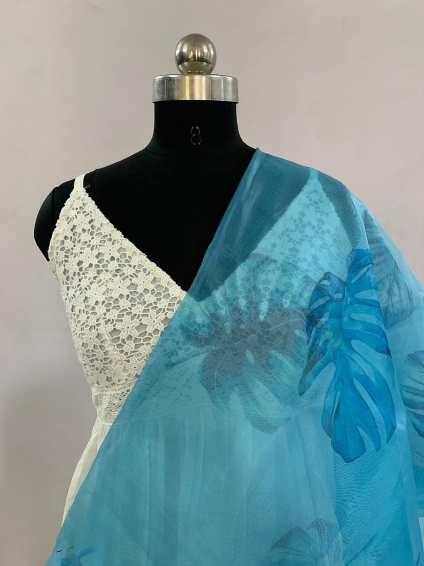 NVSBO018-Sky Blue Color Organza | Per meter view 3