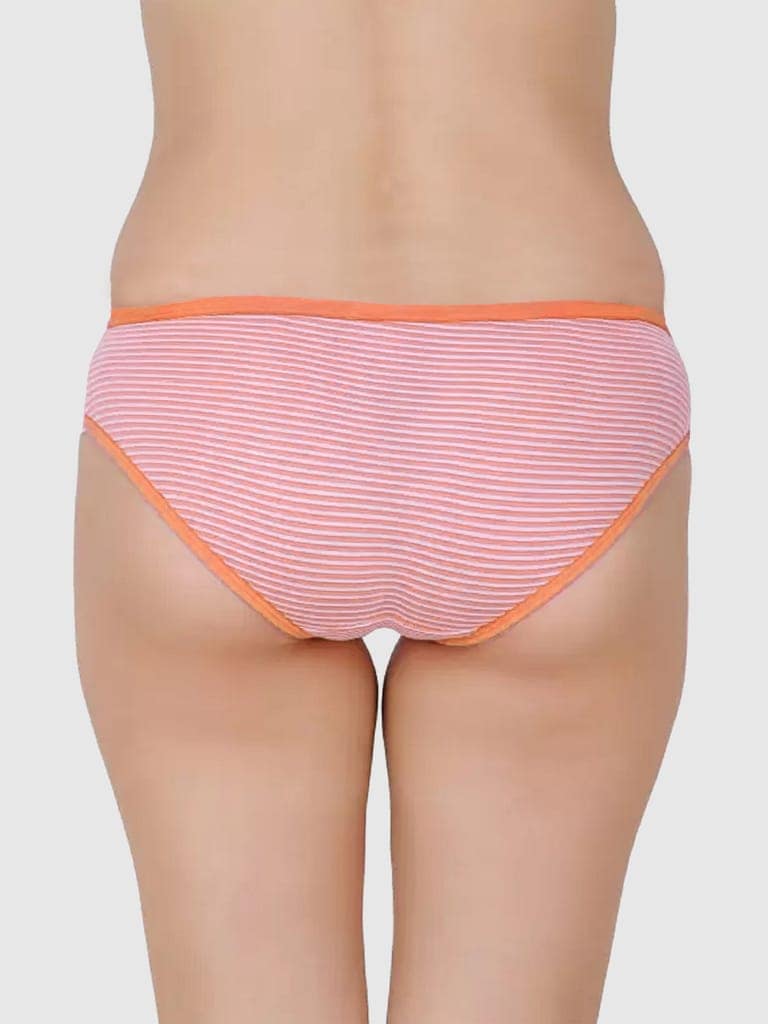 DOOZIE LOVEPLUS WOMEN'S BIKNI COTTON MULTICOLOR STRIPES PANTY PACK OF 6 view 4