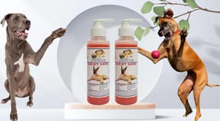 SWACCH Premium Shampoo for Great DANE (200ML)(Pack of 2) Jasmine