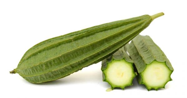 Ridge Gourd 500 gms