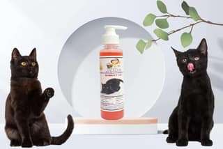 SWACCH Premium Shampoo for Bombay CAT (200ML) Jasmine