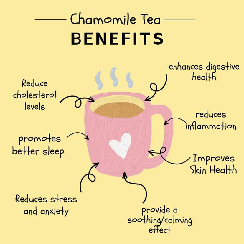 Wemalley Organic Chamomile Moringa Flowers Herbal Tea Teabags 40 grams| Improves Digestion & Sleep Quality| Calming Tea| Rich in Antioxidants| 0% Bitterness| 20 Teabags view 3