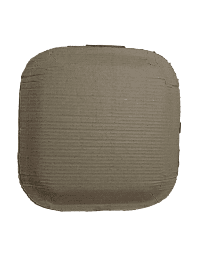 Paper Plates | Disposable Plates | Eco-Friendly Plates | 8 Inches | Pack of 25 view 2