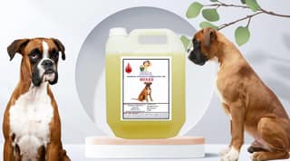 Swacch Shampoo Specially Formulated for Boxer (10 Litre) Lemon