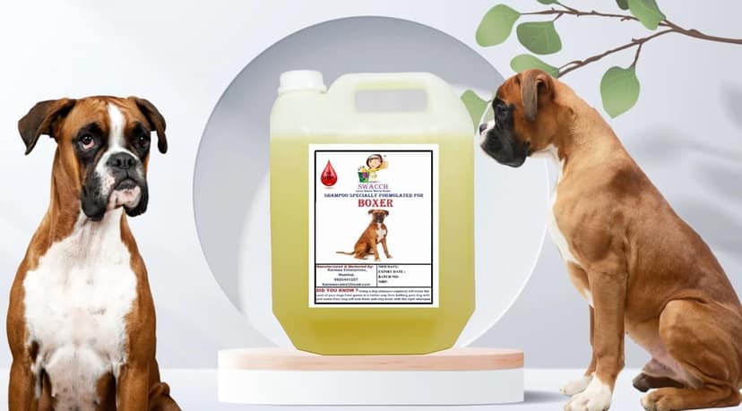 Swacch Shampoo Specially Formulated for Boxer (10 Litre) Lemon
