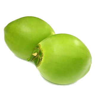 Tender Coconut 1 pc