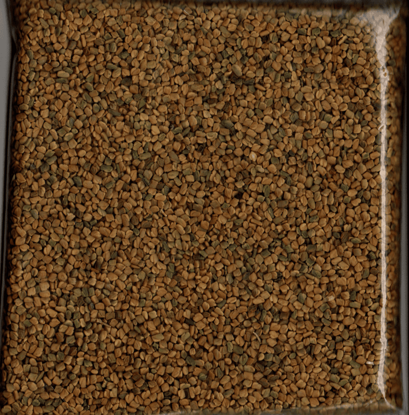 FENUGREEK (मेथी) view 3