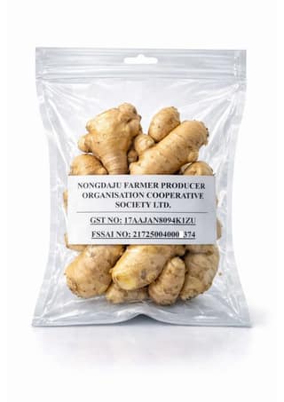 Ginger