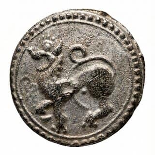 Tiger/Sher- Ancient India Old Silver-plated Rare Coin Silver Plated Variant