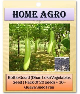 homeagro - Vegetable Seeds ( 20 )