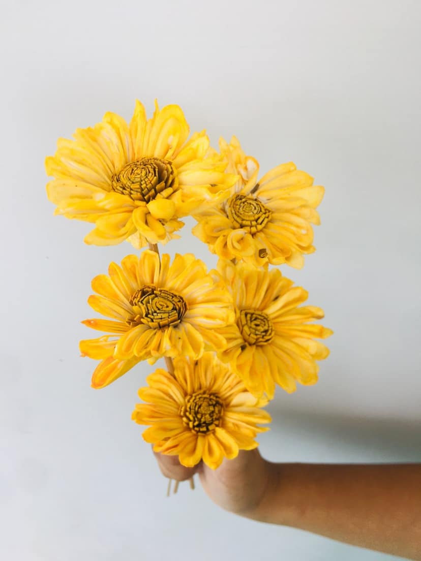Sunflower Sola Flower (5pcs) view 2