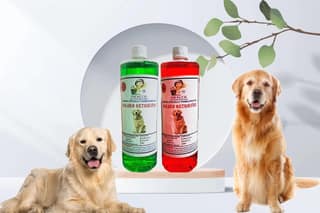 SWACCH Shampoo Specially FORMULATED for Golden Retriever (1 Litre) (Combo Pack of 2) NEEM ALOVERA & Jasmine