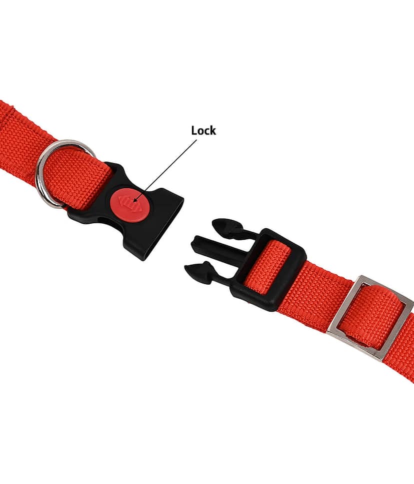 GNS PETS - Fluorescent Orange Collar ( Medium ) view 2