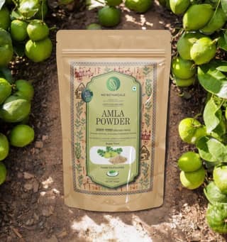 MD Botanicals Amla Powder (100gm) For Skin & Hair Care,Pure & Natural