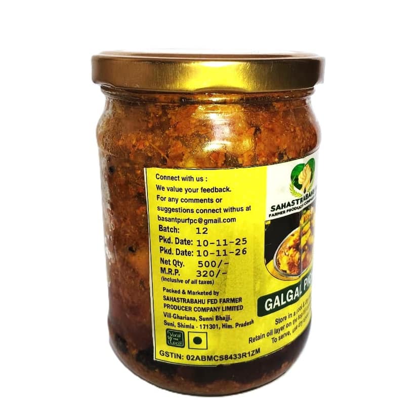 Galgal Pickle view 3