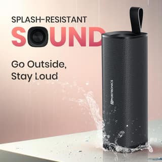 Portronics Fynix 30W HD Sound Portable Bluetooth Speaker with Dual Passive Radiator, 360° Surround Sound, Upto 6 Hours, Handsfree Calling, TWS Pairing, Bluetooth 5.3V, Type C Charging(Black)
