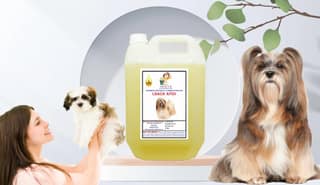 SWACCH Shampoo Specially FORMULATED for Lemon (Lhasa APSO 5 Litre)