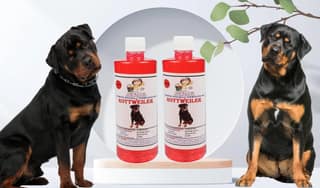 Swacch Shampoo Specially Formulated for Rottweiler (500ML) (Combo Pack of 2) Jasmine