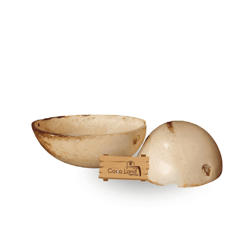 CocoLand Coconut Shell Pudding Pot Oval Shape (150-250 ml) M-L Size Coconut Oil Polished