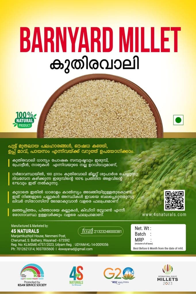 Barnyard Millet view 2