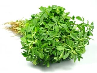 Methi Leaves Whole Bunch