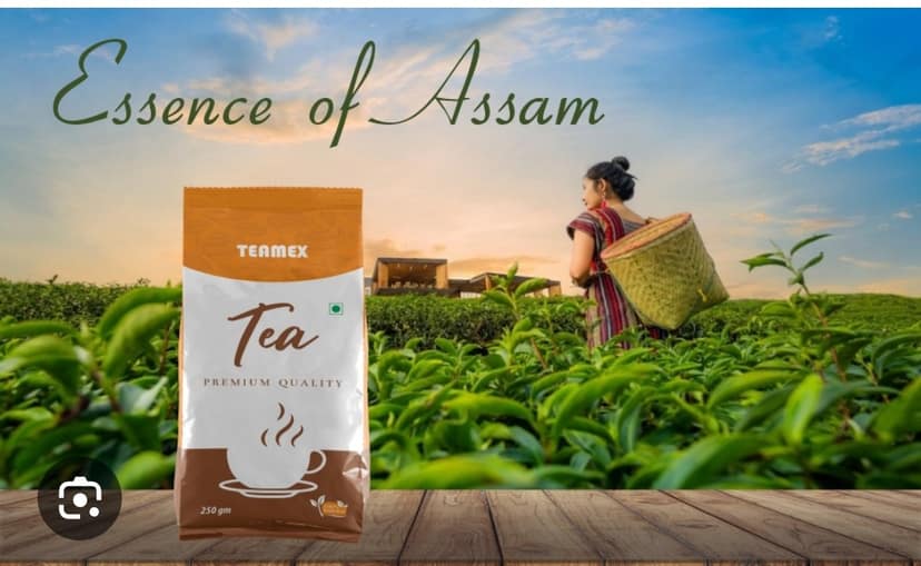 Teamex tea view 2
