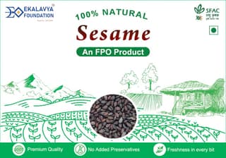 SESAME