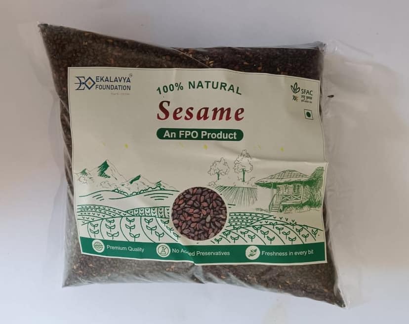 SESAME view 3