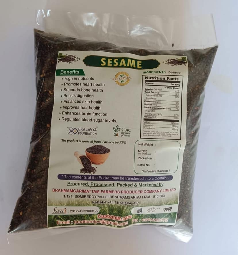 SESAME view 4