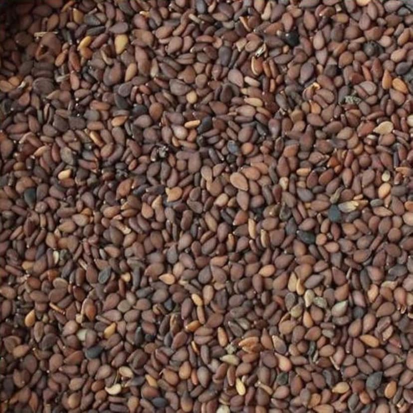 SESAME view 5