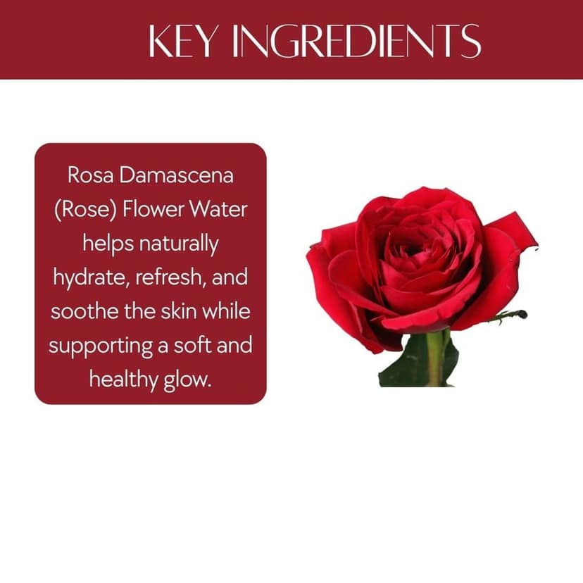Botanical Rose Mist | Pure Rose Hydrosol | Hydrate | Tone | Refresh view 6