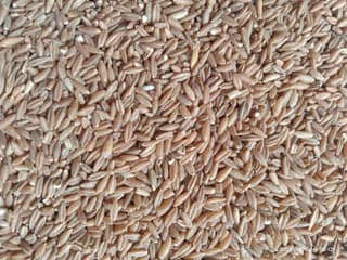Uzhavan Unavu - Bamboo Rice - 500 Gms.